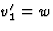 $v_1^\prime=w$