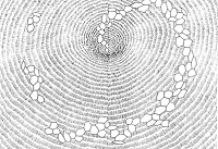 New scientist 2009 klein